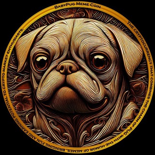 BabyPugCoin