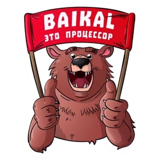 Флудилка Baikal Electronics