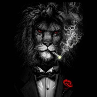 𝐁𝐀𝐋𝐋𝐀𝐒 | 𝐒𝐎𝐘𝐆𝐔𝐍𝐂𝐔 𝐀𝐈̇𝐋𝐄𝐒𝐈̇