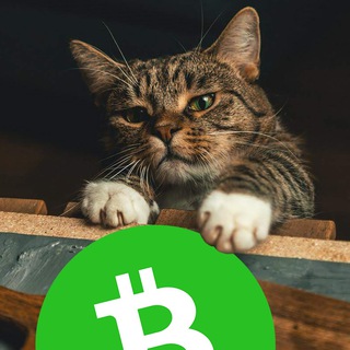 SEIZE THE MEMES OF PROMOTION! (BCH MEME CREATORS)