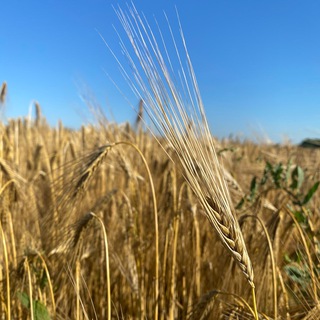 Бьюті Україна 🇺🇦 в Австрії 🇦🇹