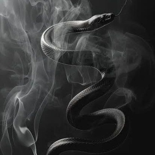 ♠️ Ⓑ Ⓔ Ⓣ Ⓐ Ⓡ Ⓤ Ⓢ ♠️