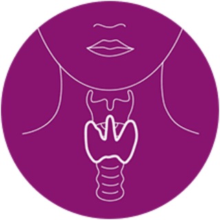 Щитовидная железа под контролем