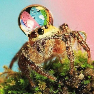 Подготовка к ЦТ(химия и биология)