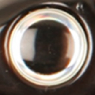 Бигбейт-привет чат!