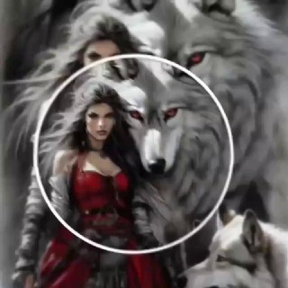 🍷𝐖𝐨𝐥𝐯𝐞𝐬 𝐁𝐨𝐧𝐝𝐬🍷