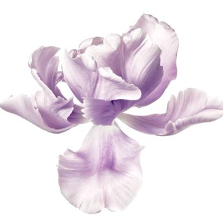 блуминг знакомства