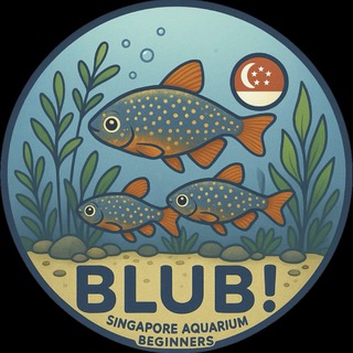 BLUB! Singapore Aquarium Beginners [SG] 🇸🇬 Guppy, Betta, Goldfish, Arowana, apisto, pleco, shrimp, caridina, neocaridina, fish