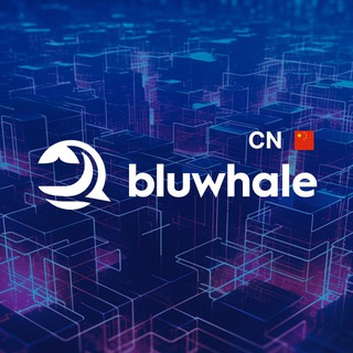 Bluwhale Official 🇨🇳 China