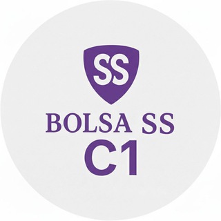 Bolsa SS Administrativo 🟣