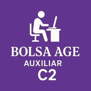 Bolsa AGE Auxiliar🟣