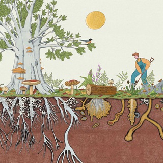 Bosco di Ogigia Gruppo