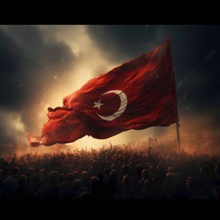 BosS Trader Education chat