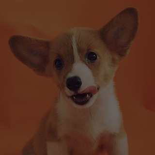 Ботаника (чат) знакомства 💞