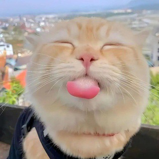 Tụ họp bọn uy tín