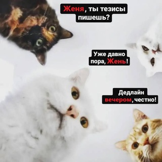 БП2: Чат общение | Бутово парк 2 | Дрожжино | Боброво