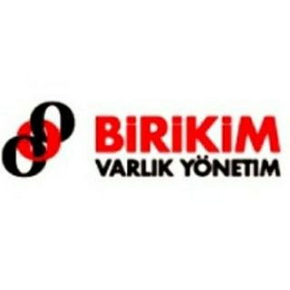 Birikim Varlık Hisse