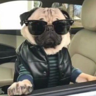 Чат БорисЛав69 📸