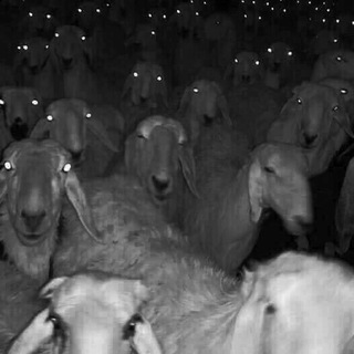 Группа для общения | Знакомства