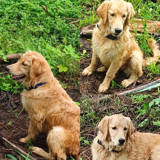 🅱🆄🅽🆃🆈 🅼🅾🆅🅸🅴🆂😉