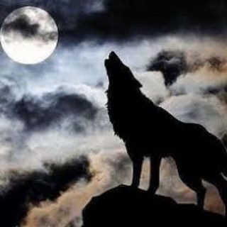 ⚡CANAVAR YIĞINI⚡