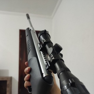 Carabinas & Airguns Brasil