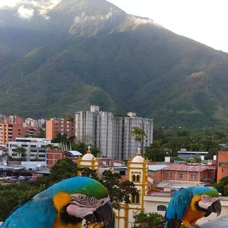 Caracas en Línea 🇻🇪