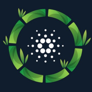 Cardano ECO Talk | TreViet