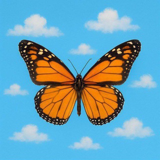 Cari pacar teman random