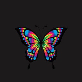 cari pacar teman chat