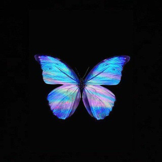 Cari Pacar Teman Virtual