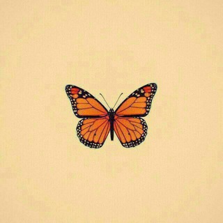 ᴄᴀʀɪ ᴊᴏᴅᴏʜ ᴏɴʟɪɴᴇ