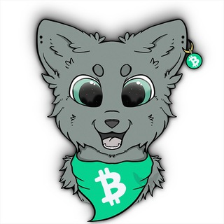 CashCats Social Club 😻