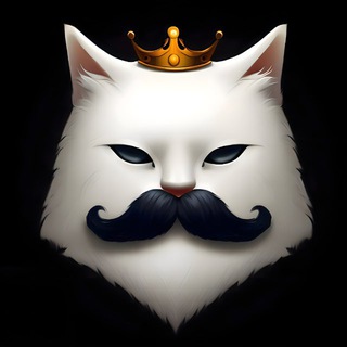 𝗖̲𝗔𝗧 │ 𝗖𝗢𝗠𝗠𝗨𝗡𝗜𝗧𝗬 𝗖𝗛𝗔𝗧