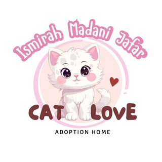 🇲🇾🐱CAT LOVE ADOPTION HOME🐱🇲🇾