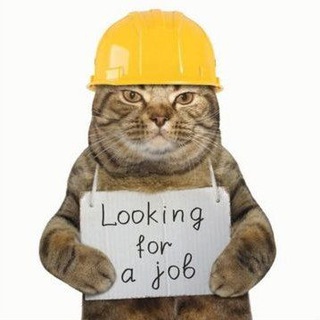 Рекрутинг в C.A.T.S.