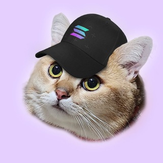 CatSolHat community