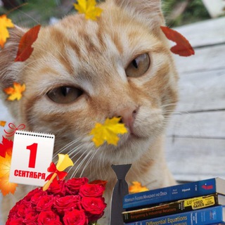 🇷🇺Цель 500 человек #Новые знакомства