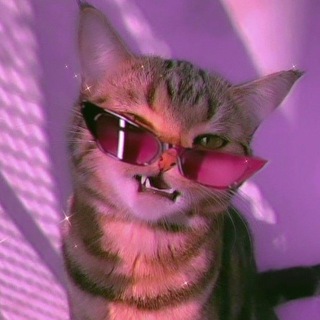 Знакомства Псков Девушки