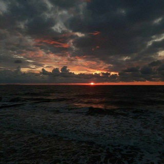 Free РЕКЛАМА 🕊️