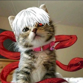 [~Чат для знакомства и общения~]