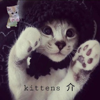 kittens 介 | Чат общения | Знакомства.