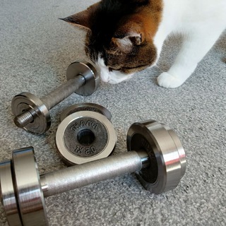 чат Похудение и Спорт