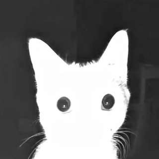 Pokoyo☄ Общение/Знакомства