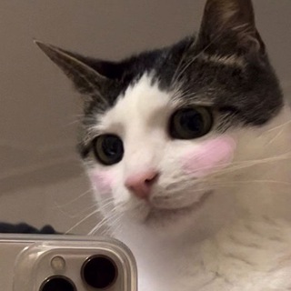 × ᚶ₳ᛠᛋᛕᛈ ᚦᛖᛋᛠ₳ ×