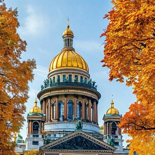 Питерский чат Питер СПб Роза Ветров