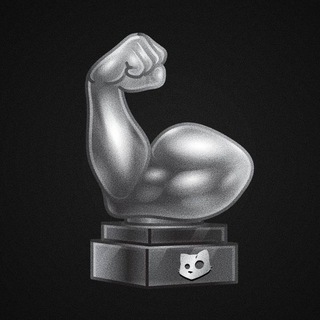 Cats Discussion 💀