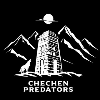 Чат Chechen Predators