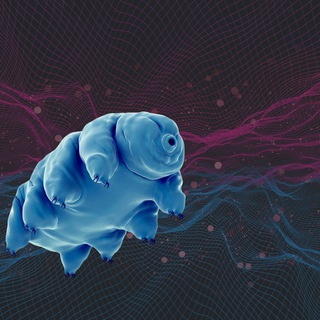 "Ciao, Internet!" » La Community