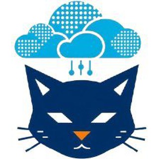 Cloud Cat Group